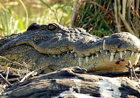 Otjimbondona Kalahari