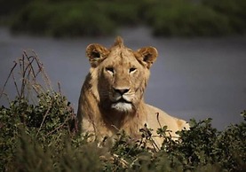 Otjimbondona Kalahari