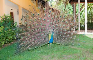 Eco Pousada Paraíso dos Coqueirais