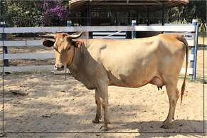 Engenho da Serra Hotel & Ecoresort