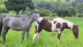 Engenho da Serra Hotel & Ecoresort