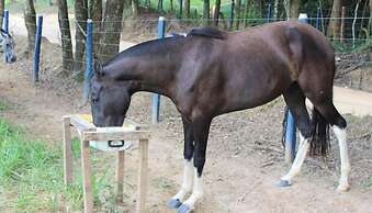 Engenho da Serra Hotel & Ecoresort