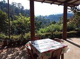 Nature's Rest