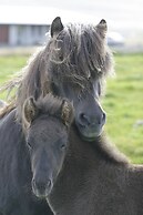 Syðra-Skörðugil Guesthouse