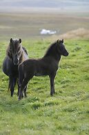 Syðra-Skörðugil Guesthouse