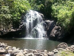 Gecko Lodge Fiji Private Hotel