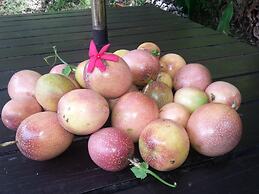 Gecko Lodge Fiji Private Hotel