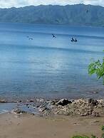 Gecko Lodge Fiji Private Hotel