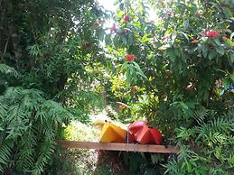 Gecko Lodge Fiji Private Hotel