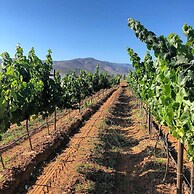 Casa Urbina Wine Resort