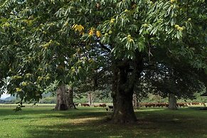 Futangue Hotel & Spa