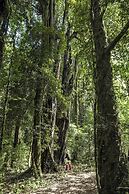 Futangue Hotel & Spa