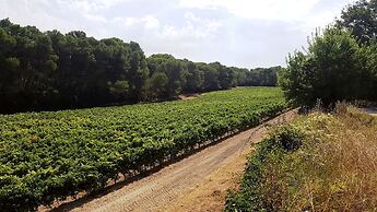 Chateau Saint Martin de Graves
