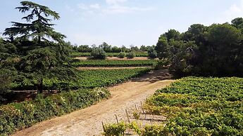Chateau Saint Martin de Graves