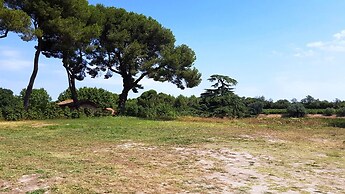 Chateau Saint Martin de Graves
