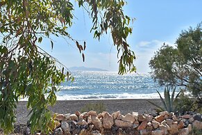 Damma Beachfront Luxury Villa