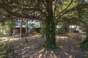 Masseria Citulo - Il Pino Grande