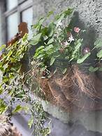 The Inn On The Moor Hotel