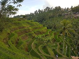 Buda Cottage Ubud