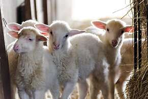 Fattoria del Nonno Berto