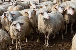 Fattoria del Nonno Berto