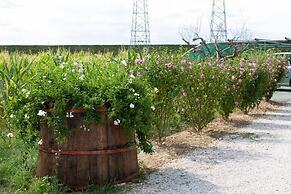 Fattoria del Nonno Berto