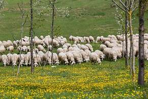 Fattoria del Nonno Berto