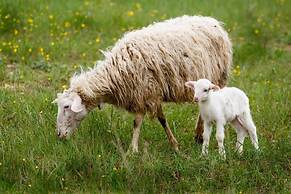 Fattoria del Nonno Berto