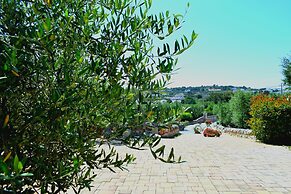 La Rosa dei Trulli B&B