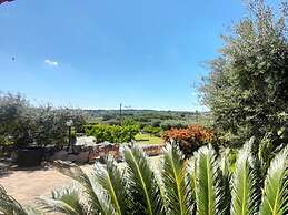 La Rosa dei Trulli B&B