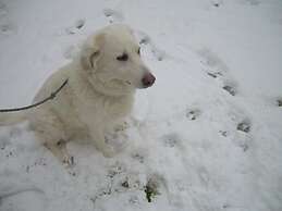 Locanda Strada Della Marina