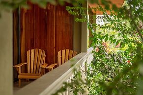 Jacamar Corcovado Drake Day