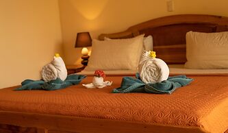 Jacamar Corcovado Drake Day