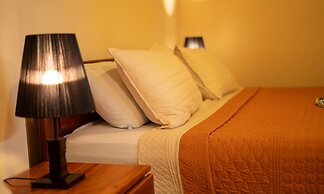 Jacamar Corcovado Drake Day