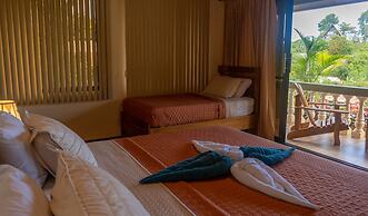 Jacamar Corcovado Drake Day