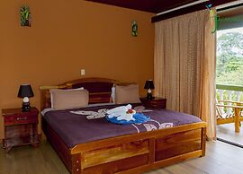 Jacamar Corcovado Drake Day