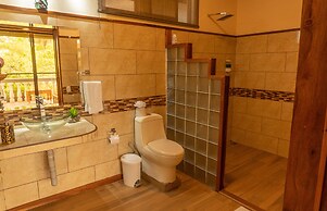 Jacamar Corcovado Drake Day