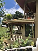 Jacamar Corcovado Drake Day