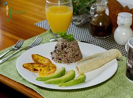 Jacamar Corcovado Drake Day