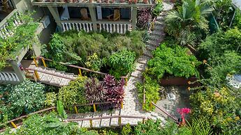 Jacamar Corcovado Drake Day