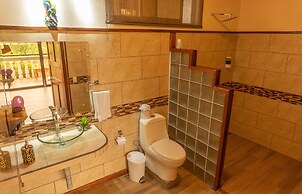 Jacamar Corcovado Drake Day