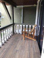 Jacamar Corcovado Drake Day