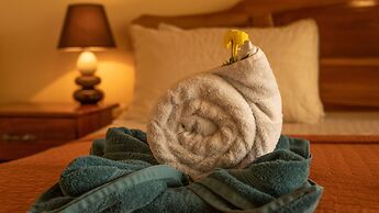 Jacamar Corcovado Drake Day