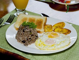 Jacamar Corcovado Drake Day