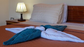 Jacamar Corcovado Drake Day