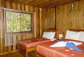 Jacamar Corcovado Drake Day