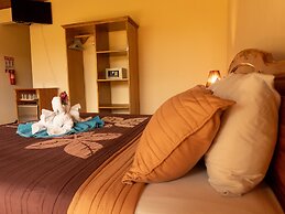 Jacamar Corcovado Drake Day