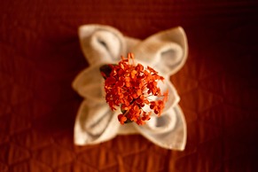 Jacamar Corcovado Drake Day