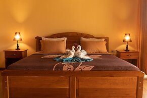 Jacamar Corcovado Drake Day