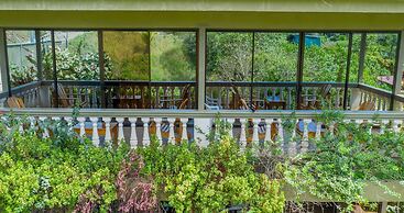 Jacamar Corcovado Drake Day